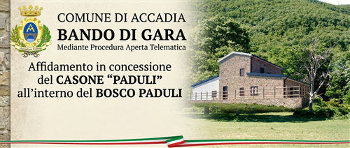 Bando di Gara mediante Procedura Aperta Telematica